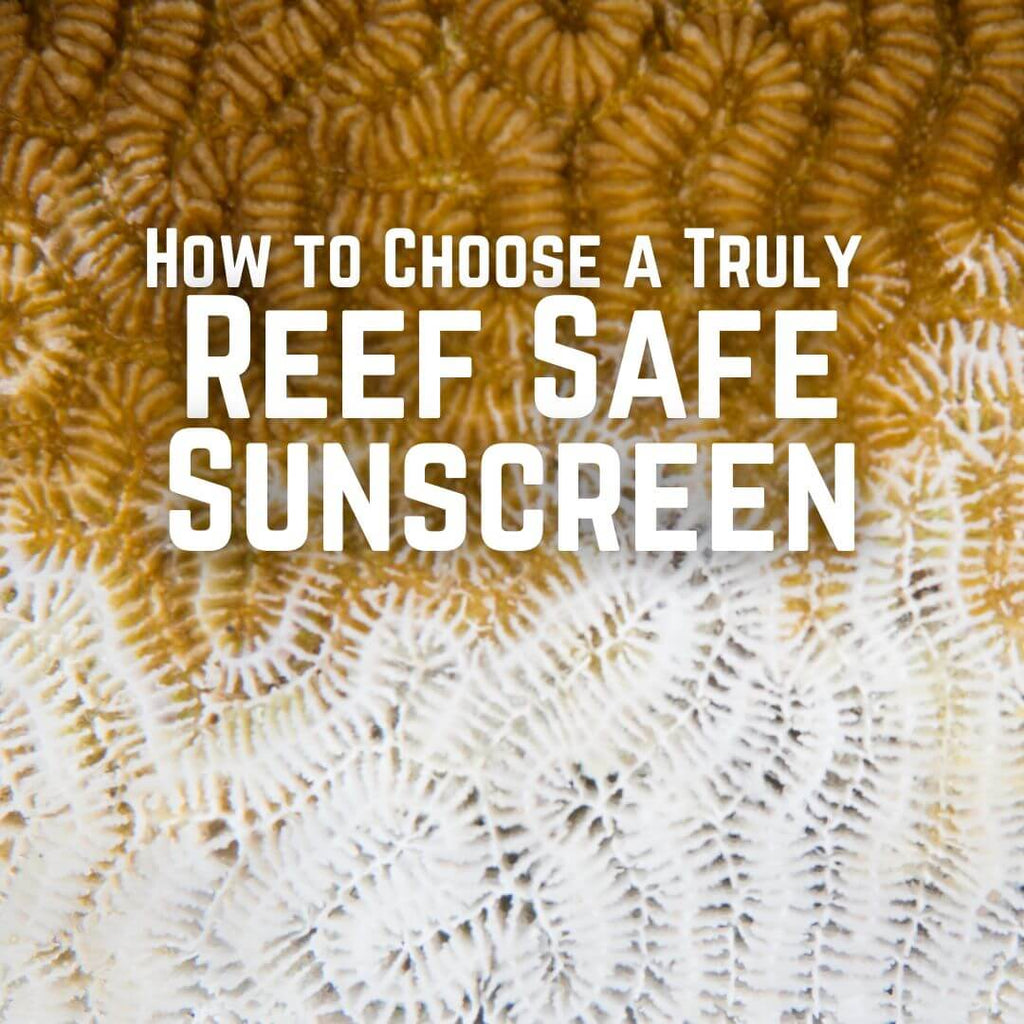 Choose a Truly Reef Safe Sunscreen