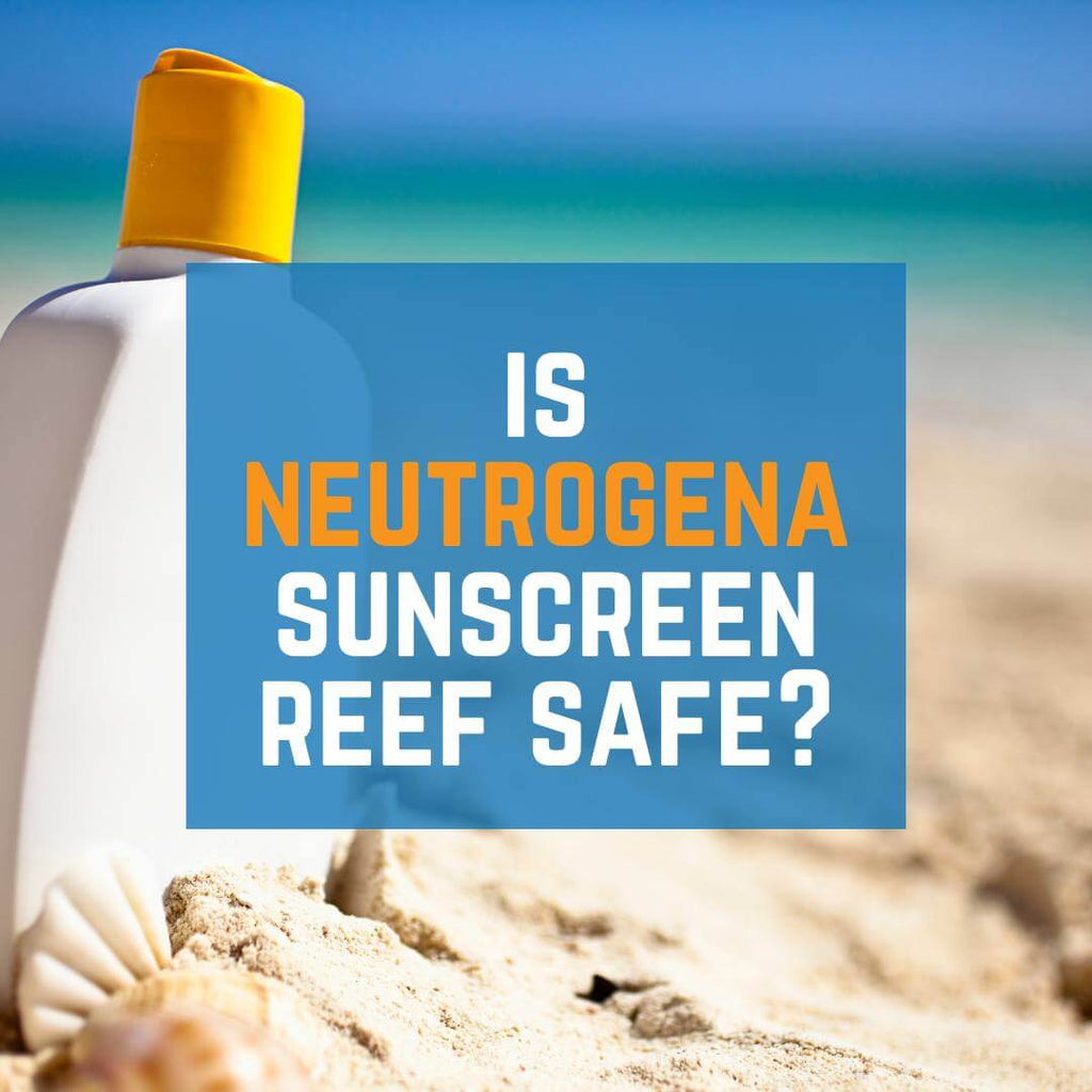 Is Neutrogena Sunscreen Reef Safe?
