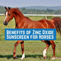 Zinc Oxide Sunscreen for Horses