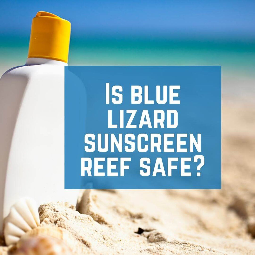 Is Blue Lizard Sunscreen reef safe?