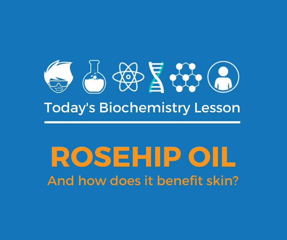 Rosehip Oil Skin Benefits