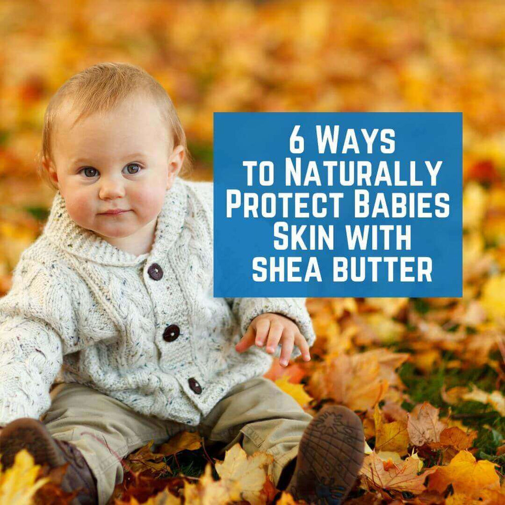 Shea Butter for Babies: 6 Ways It Naturally Protects Sensitive Skin