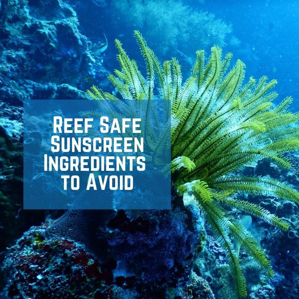 Reef Safe Sunscreen Ingredients to Avoid