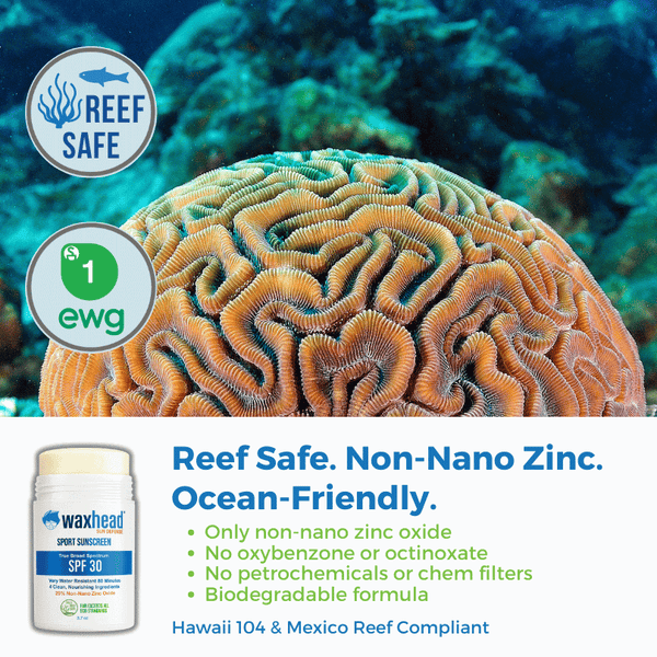 Reef Safe Zinc Sunscreen Stick featured with coral reef background highlighting reef safety and environmentally friendly ingredients.