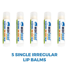 Irregular - Zinc Oxide Lip Balm (singles)